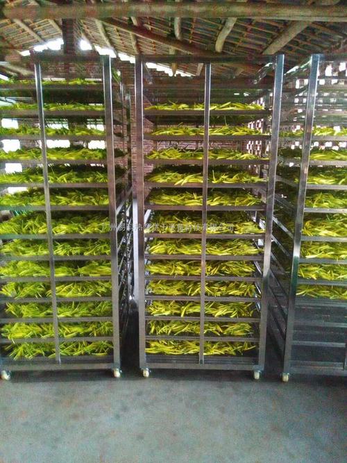 黃花菜烘干機、黃花菜烘干設(shè)備、黃花菜干燥機、黃花菜干燥設(shè)備、